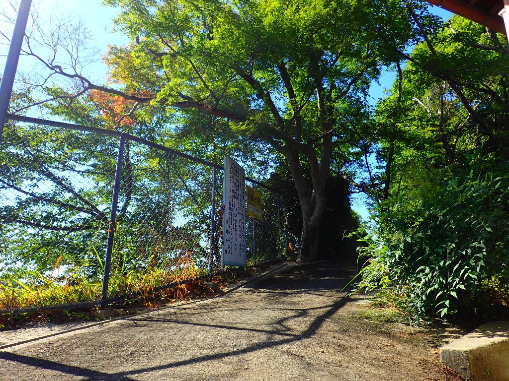 久井町有墓地